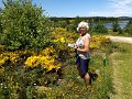 230 foto MVervoorn 2019-06-18 14.46.11